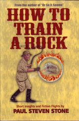 How To Train A Rock