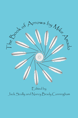 The Book of Arrows by Mike Amado