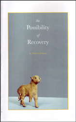 The Possibility of Recovery by William Delman